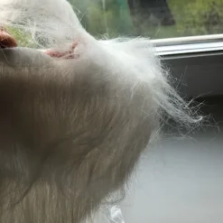 2 STK Fake Skæg Langt Fluffy Skæg GRÅD Gray