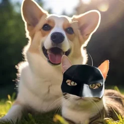 1 stk. Flagermus Kat Maske, Sort Kat Flagermus Maske, Sjovt Kostumetilbehør, Flagermus Kat Rollespil, Egnet til Fest eller Daglig Sjov-max