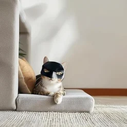 1 stk. Flagermus Kat Maske, Sort Kat Flagermus Maske, Sjovt Kostumetilbehør, Flagermus Kat Rollespil, Egnet til Fest eller Daglig Sjov-max