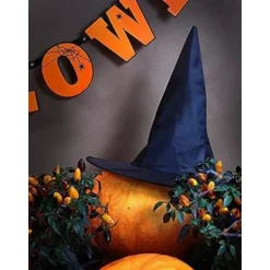 4 stk. Heksehat ┃ Børns Halloween Kostume ┃ Spids Sort 34