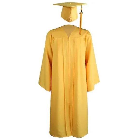 2025 Voksen Lynlås Universitet Akademisk Dimissionskåbe Mortarboard Hue-WELLNGS Pink S