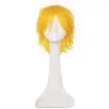Anime Cosplay Parykker Kort Lige Paryk