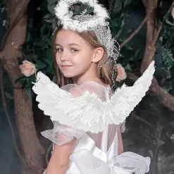 Englevinger, Englefest, Englevingekostume, Festkostumeornament, Englevinger og Glorie, Englevinger S, Englefest, Ornament