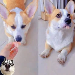 Falske tænder til hund sjove proteser kæledyr dekoration forsyninger Halloween Cosplay mennesker og vampyrer legetøj tricky sjove proteser [DB]