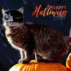 Fledermus Kattemaske Halloween, Sort Fledermausmaske til Katte, Halloween Cosplay Kostume til Katte, Kattemaske til Festivalfest (9 cm)