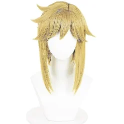 Game Legend Link Cosplay til Voksne og Børn Tårer af Kongeriget Kostume Fuld Sæt Mand Halloween Karneval Kostume-WELLNGS With wig XL