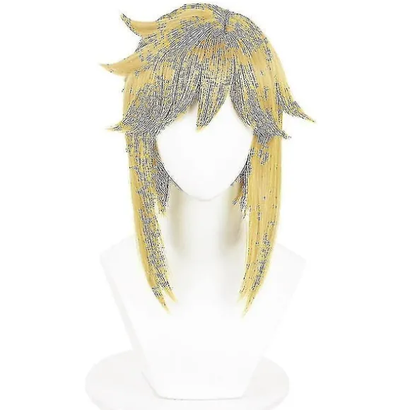 Game Legend Link Cosplay til voksne børn Tears Of The Kingdom Kostume Fuld Sæt Mand Halloween Karneval Kostume-WELLNGS Med paryk With wig 130