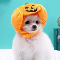 Halloween Hundehat Pumpkin Pet Cap SSTYLE 1 STIL 1 SStyle 1