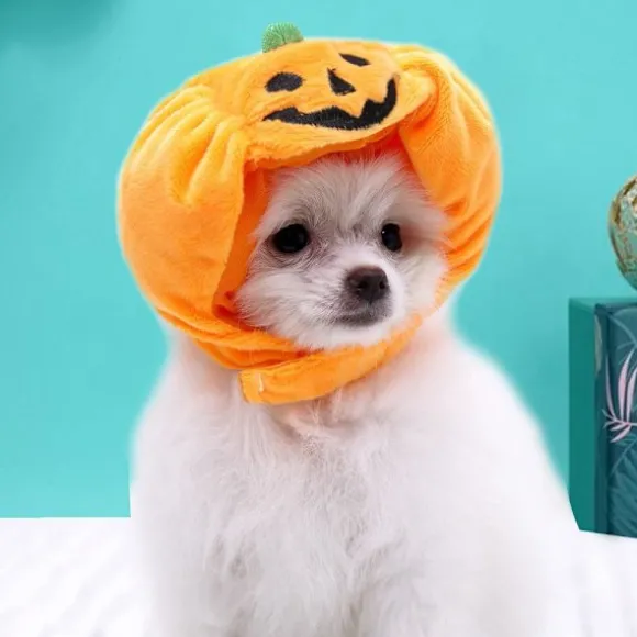 Halloween Hundehat Pumpkin Pet Cap SSTYLE 1 STIL 1 SStyle 1