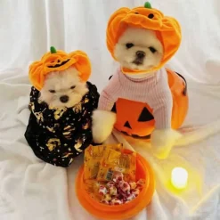 Halloween Hundehat Pumpkin Pet Cap SSTYLE 1 STIL 1 SStyle 1