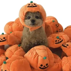Halloween Hundehat Pumpkin Pet Cap SSTYLE 1 STIL 1 SStyle 1