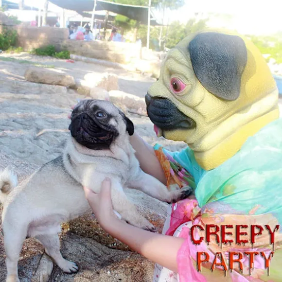 Halloween Kostumefest Dyrehoved Latex Maske Mops Hund