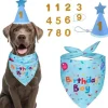Hunde Fødselsdagsfest - Hunde Fødselsdags Pandebåndsæt - Hunde Fødselsdagshat - Med Nummer - Blå