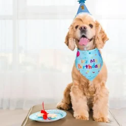 Hunde Fødselsdagsfest - Hunde Fødselsdags Pandebåndsæt - Hunde Fødselsdagshat - Med Nummer - Blå