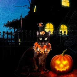 Kat Heks Halloween Kostume, Hund Tutu Krave og Hekse Græskar Hat til KLB