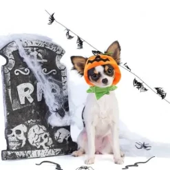Katte Halloween Græskar Hat Græskar Dæmon Hue Katte Hovedbeklædning[XJ]