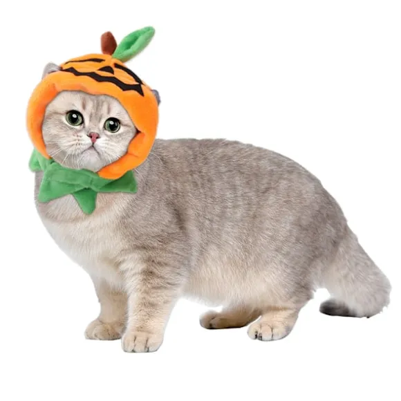 Katte Halloween Græskar Hat Græskar Dæmon Cap Katte Hovedbeklædning