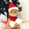Katte Julehat med Halstørklæde, Kæledyr Julekostume Sæt, Hund og Kat Julehat, Rød S