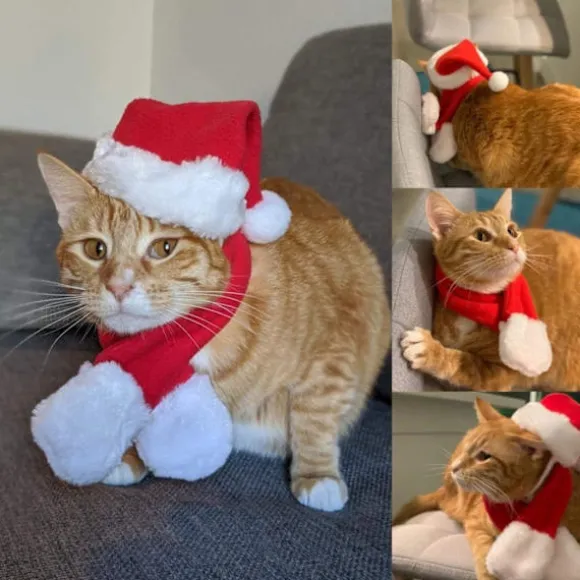 Katte Julehat med Halstørklæde, Kæledyr Julekostume Sæt, Hund og Kat Julehat, Rød S