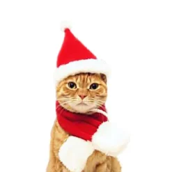 Katte Julehat med Halstørklæde, Kæledyr Julekostume Sæt, Hund og Kat Julehat, Rød S
