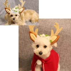 Katte Kostume, Jule Hovedbøjle, Rensdyr Gevir, Katte- og Hundehovedbeklædning med Blomster til Katte og Små Hunde