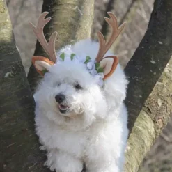Katte Kostume, Jule Hovedbøjle, Rensdyr Gevir, Katte- og Hundehovedbeklædning med Blomster til Katte og Små Hunde