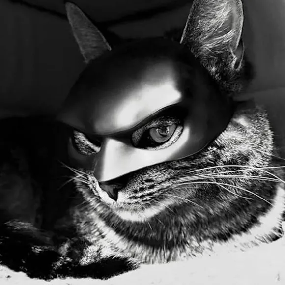 Katte Maske Cosplay, Katte Cosplay Hat, Katte Maske til Halloween Cosplay, Sjove Katte Kostume Tilbehør (Stor)