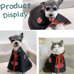 Kattekappe Anime Ninja Kostume, Halloween Kæledyrs Kostume, Kæledyrs Kappe Cosplay Fest, Mellem Størrelse