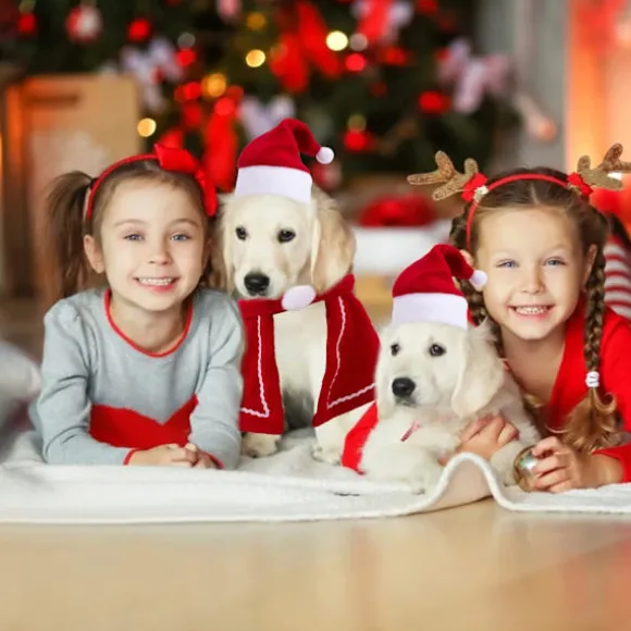 Kæledyrs julehat, kæledyrs julehalstørklæde, kattehunde julekostume, f