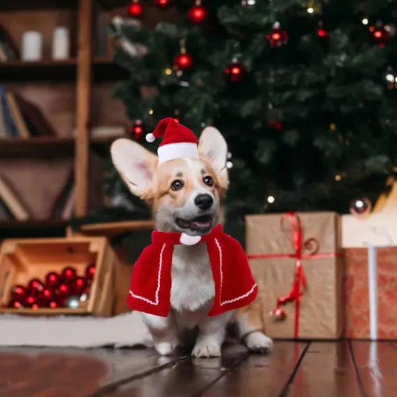 Kæledyrs julehat, kæledyrs julehalstørklæde, kattehunde julekostume, f