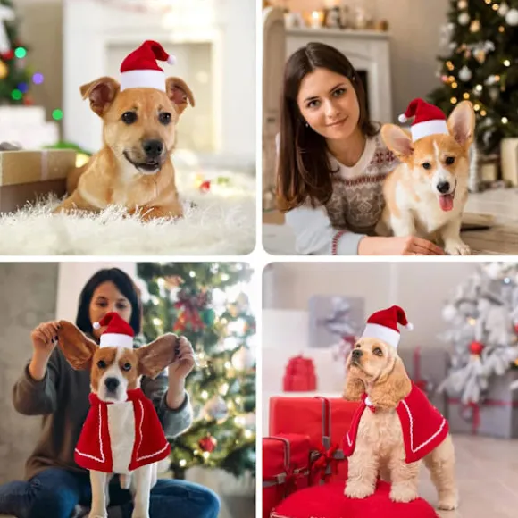 Kæledyrs julehat, kæledyrs julehalstørklæde, kattehunde julekostume, f