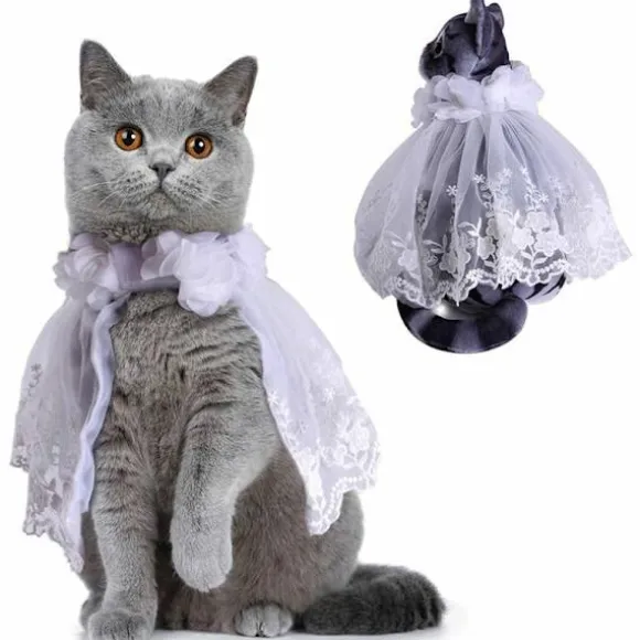 Kreativ kæledyrs hjelm blonde dyr kostume hvalp kappe kostume jul halloween forvandlet til sjove kæledyrstøj