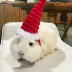 Lizard Tomte Hatt Kanin Med Halstørklæde Julekostume 01 1 1