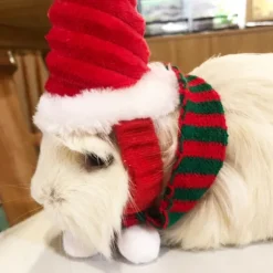 Lizard Tomte Hatt Kanin Med Halstørklæde Julekostume 01 1 1