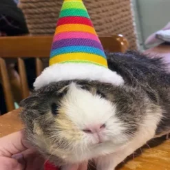 Lizard Tomte Hatt Kanin Med Halstørklæde Julekostume 01 1 1
