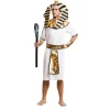 Mænds gyldne egyptiske kostume - Antikken - NO NAME - Gul - Polyester - Voksen