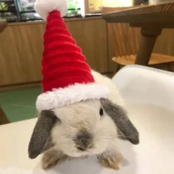 Nissehue til kanin med halstørklæde 2 2 2 2 2 2