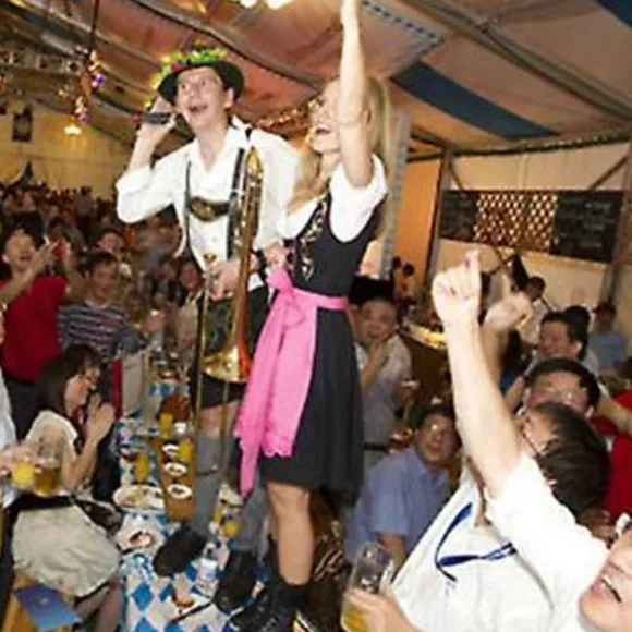Nyt damebeklædning Tysk Oktoberfest Kostume Traditionel Bayersk Øl Fraulein Karneval Pige Kjole Outfit (L Grå Blå)