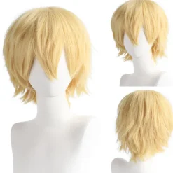 Paryk Anime Herre Cosplay Kort Paryk 30CM (KR157)