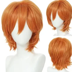 Paryk Anime Herre Cosplay Kort Paryk 30CM (KR284)