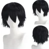 paryk Anime Herre Cosplay Kort Paryk 30CM (KR301)