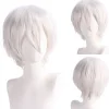 Paryk Anime Herre Cosplay Kort Paryk 30CM (KR195)