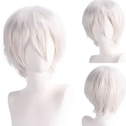 Paryk Anime Herre Cosplay Kort Paryk 30CM (KR195)