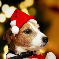 Pieces Kæledyrs Julemandshat til Hund og Kat