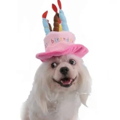 Sød katte- og hundehue til fødselsdagsfest med kage og 5 farverige stearinlys design Cosplay kostume tilbehør hovedbeklædning (lyserød)