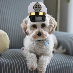 Sjov Dyrehat Sød Hovedbeklædning Fancy Hovedbeklædning Kostume Tilbehør Fotorekvisitter Til Kat Hund Hvalp (capta