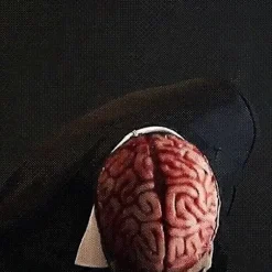 Skræmmende Kranium Maske, Latex Kranium Maske, Halloween Maske til Voksne Der Er Ekstremt Ængstelige Med Aftagelige Kæber, Rollespil