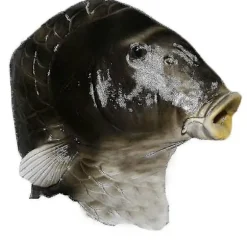 SORT FISKEMASKE LATEX DYREHOVEDMASKE GRÅ FISKEDRAGT UDKLÆDNINGSFEST VOKSEN RUYUU
