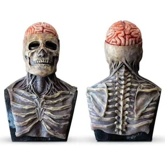 Uhæggelig Halloween Maske - Hjerne Skelet Kranie Maske - Latex Helhoved Maske - 3D Biokemisk Halloween Cosplay Maske