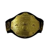 WWE-mesterskabsbælte (tungvægtsmesterskabsbælte)
